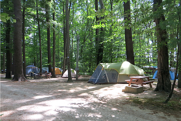 Tent Site at Tidewater Campground